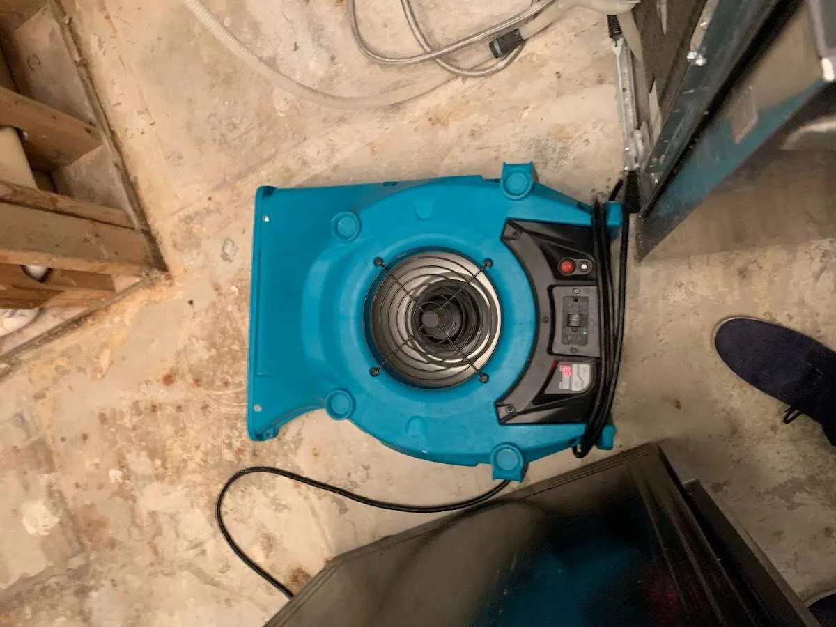 Air mover drying equipment for Mold Remediation & Removal in Clovis